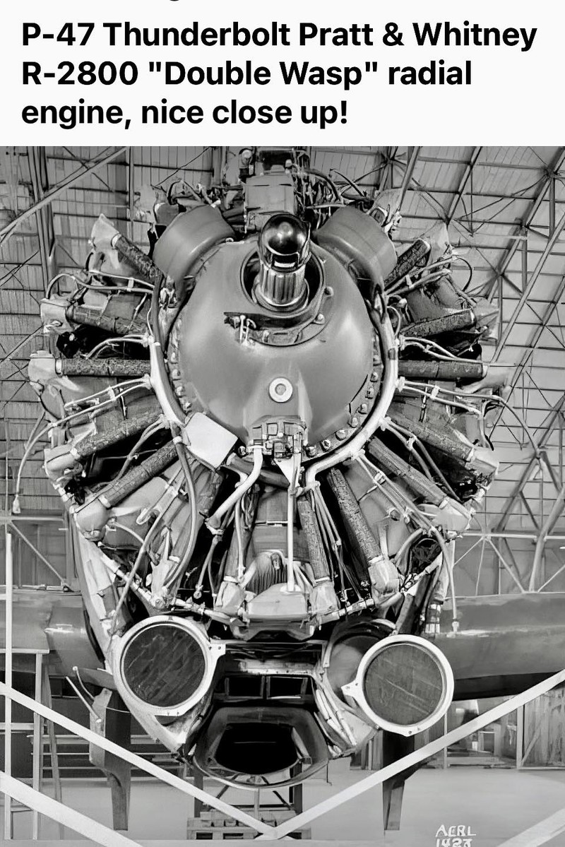 ./bolt_pw_p47_1778327556923