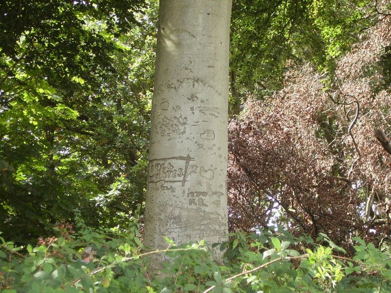 Burtonwood Tree Carving 1944b