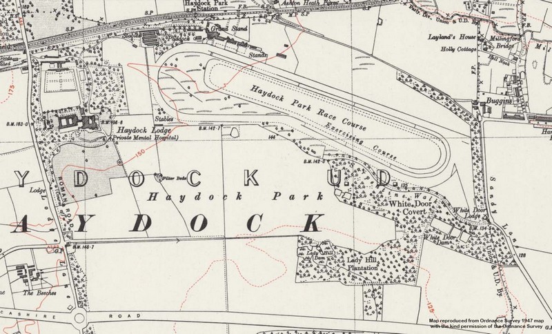Haydock Park 10