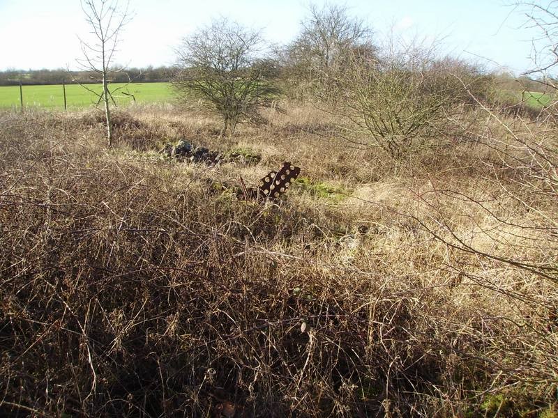 Triangle Area PSP Planking Fenced Off Area