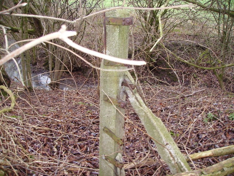 Triangle Fence Northern Dispersals
