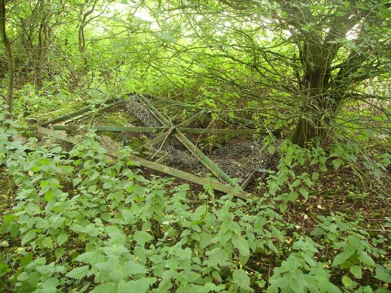 barrow hall lane 7