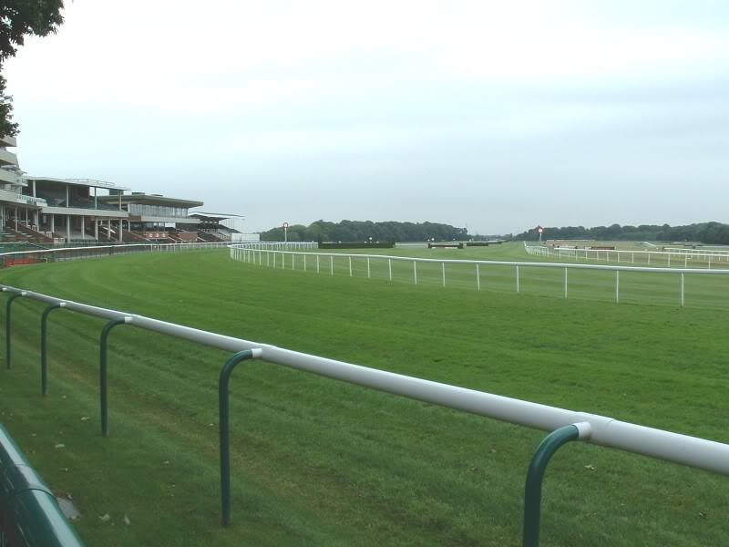 haydock 8