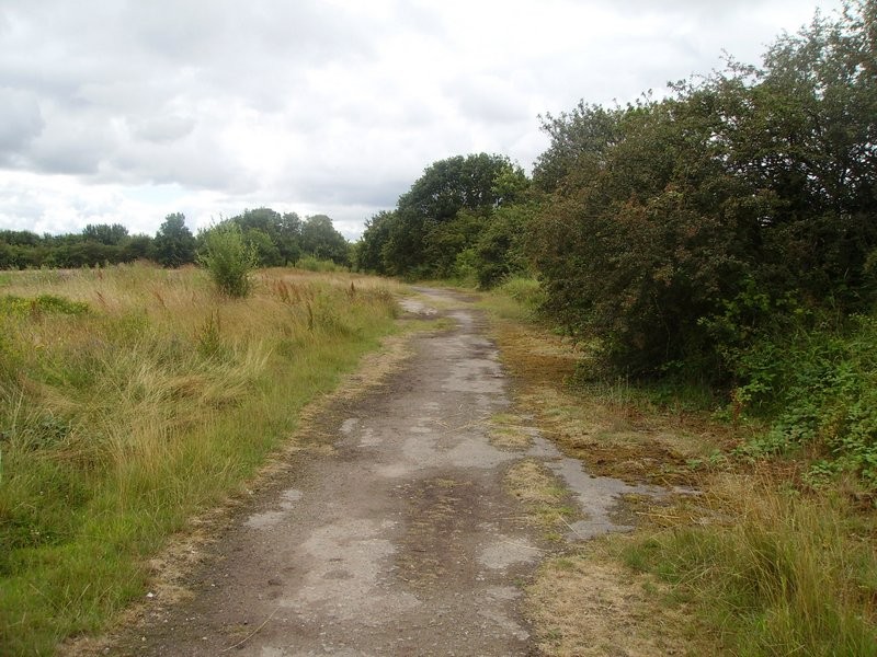 long road 2