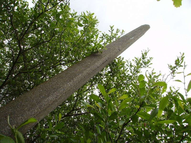 long road lampost
